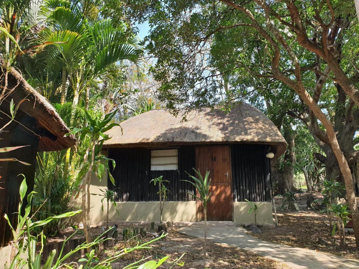 שלושלואי Pumusa Bushcamp מראה חיצוני תמונה