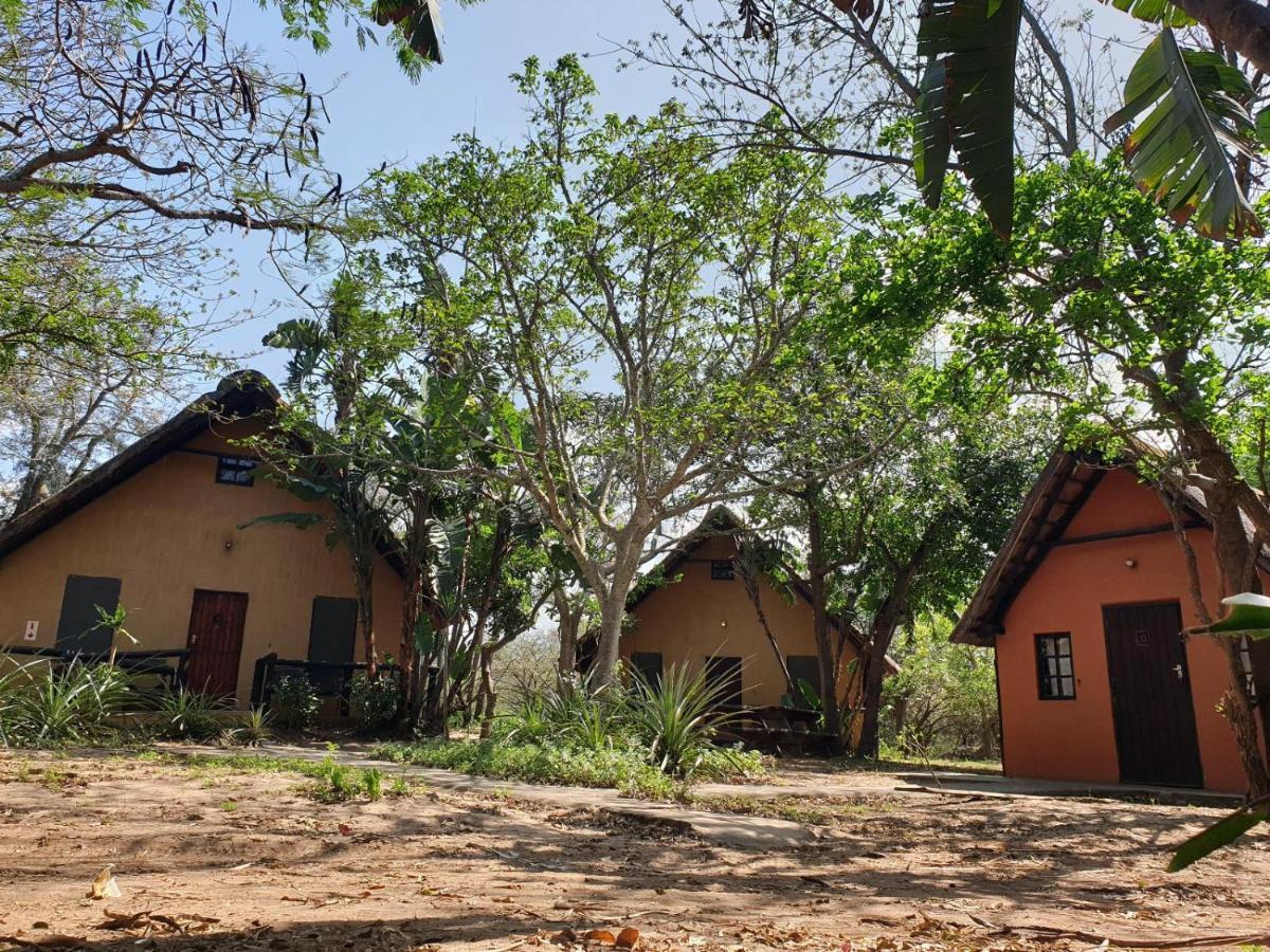 שלושלואי Pumusa Bushcamp מראה חיצוני תמונה