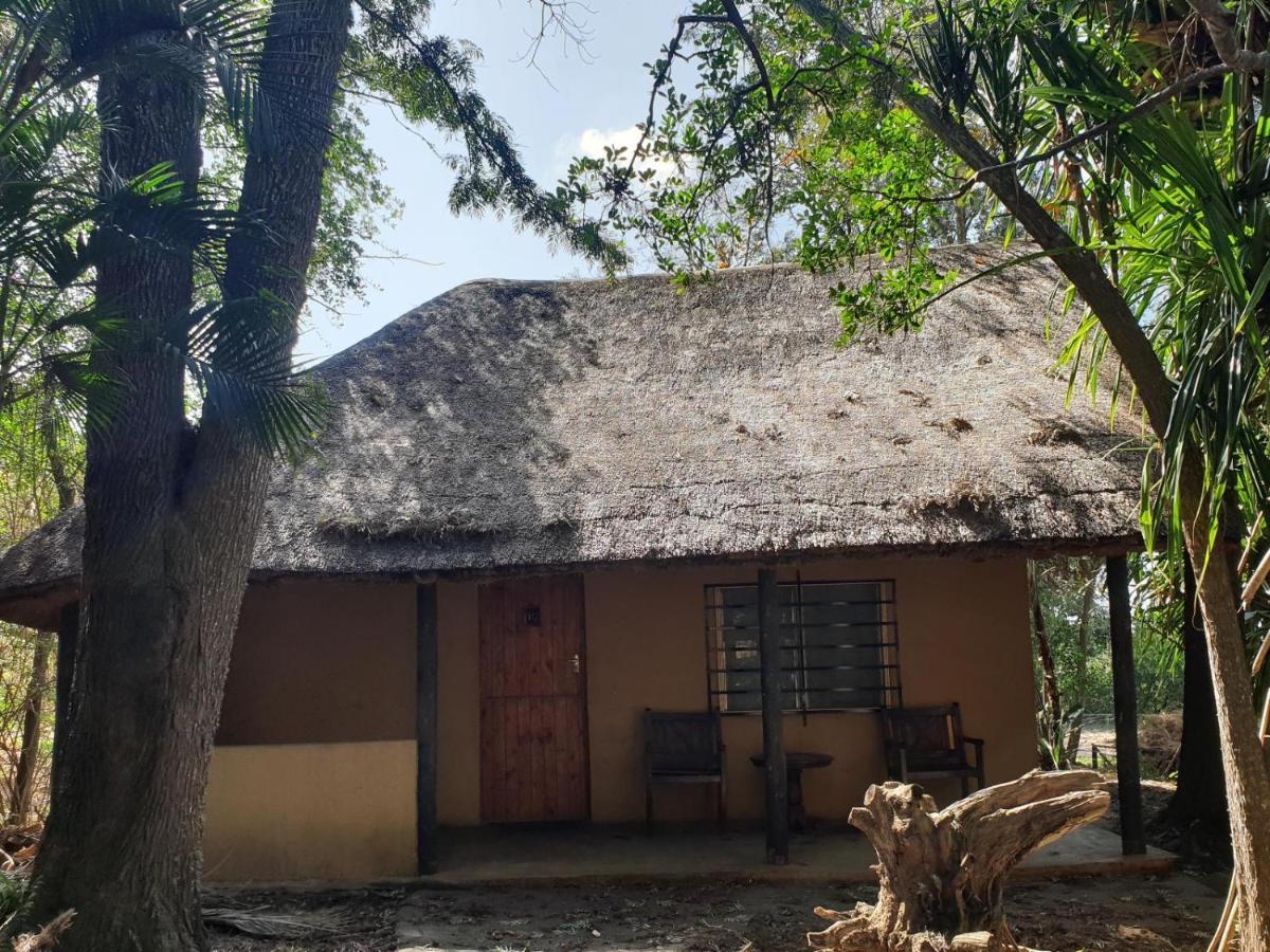 שלושלואי Pumusa Bushcamp מראה חיצוני תמונה