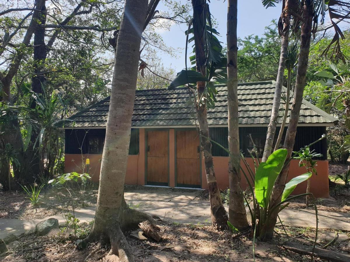 שלושלואי Pumusa Bushcamp מראה חיצוני תמונה