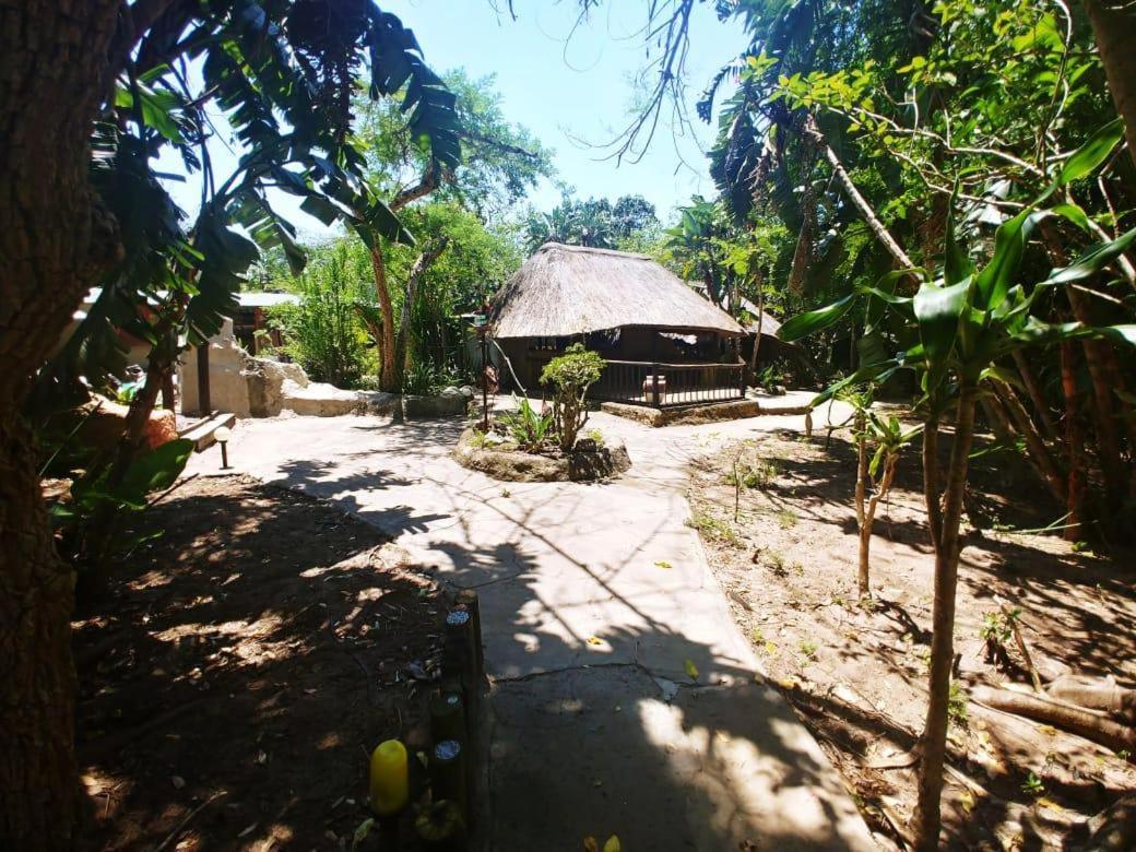 שלושלואי Pumusa Bushcamp מראה חיצוני תמונה