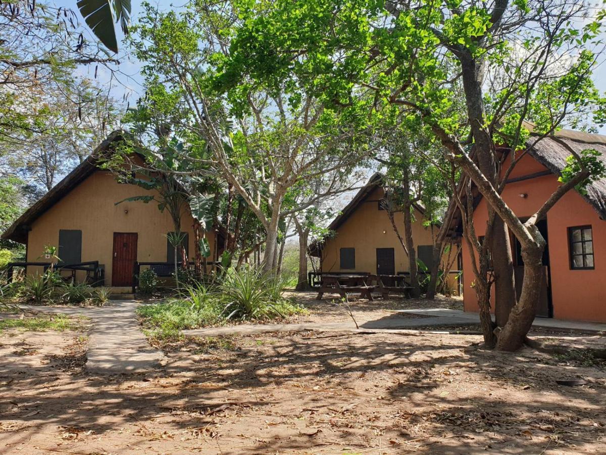 שלושלואי Pumusa Bushcamp מראה חיצוני תמונה